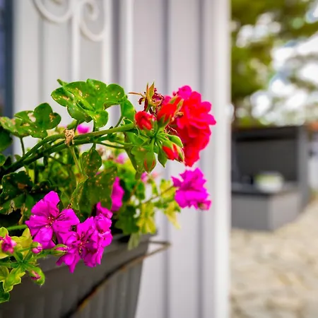 Evaggelia's Summer Holiday home Dikella
