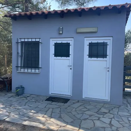 Evaggelia's Summer Holiday home Dikella