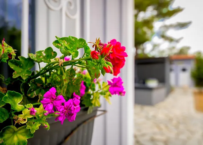 Evaggelia's Summer Ferienhaus Dikella