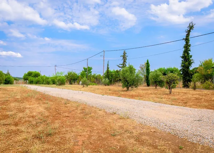 Evaggelia's Summer *